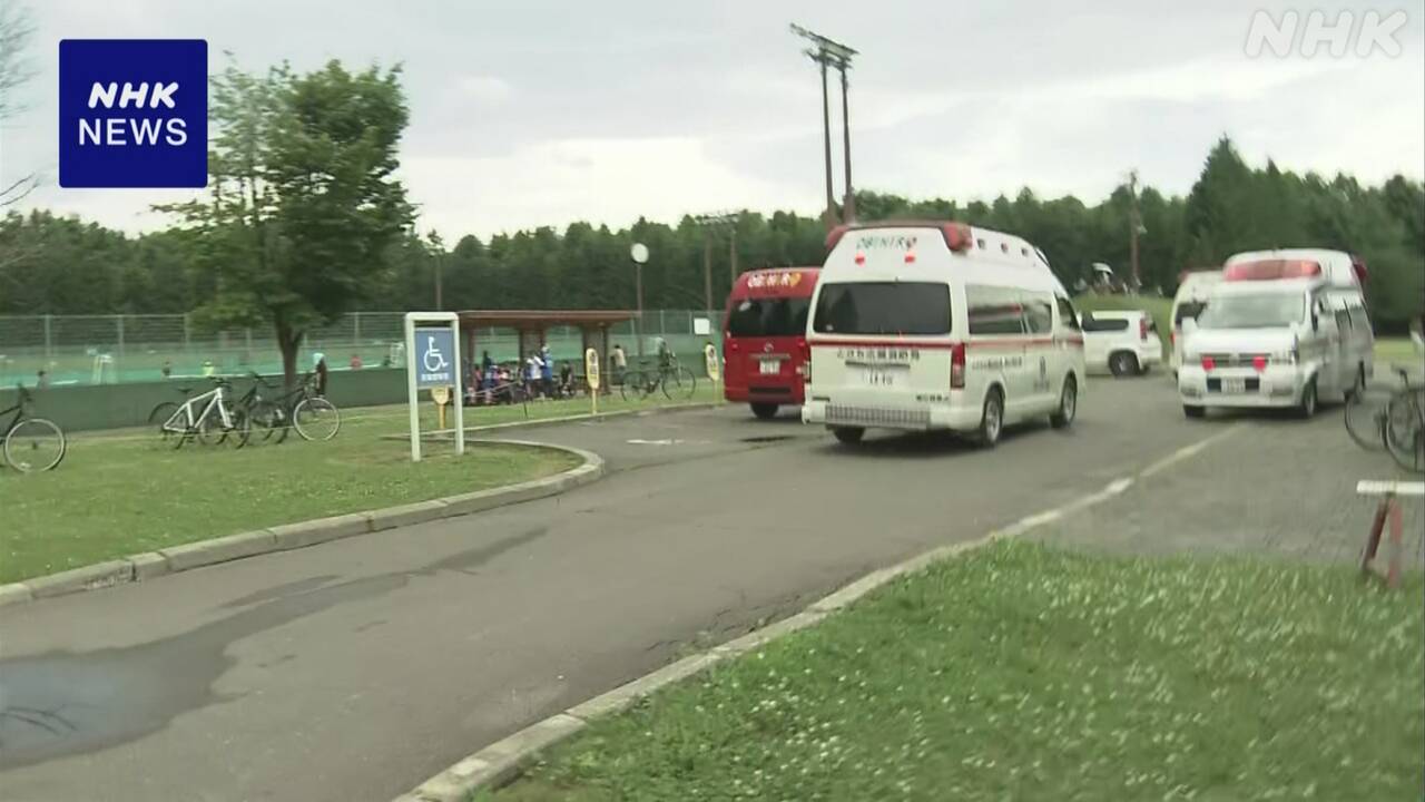 北海道-芽室町-17人がハチに刺される-いずれも意識あり-|-nhk