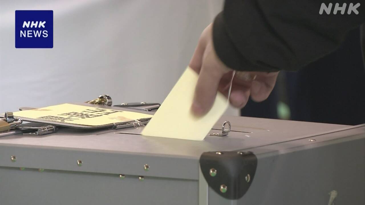 参院選-投開票日-sns「不正選挙」と偽情報出回るおそれ-注意を-|-nhk