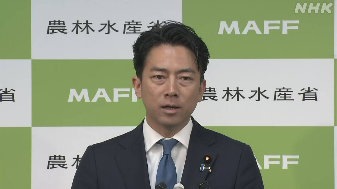 小泉農相-コメ政策-“与野党で一致点を”考え示す-|-nhk