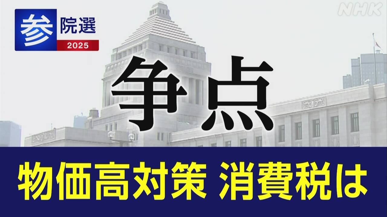 参院選-政党-政策アンケート-「消費税」-|-nhk