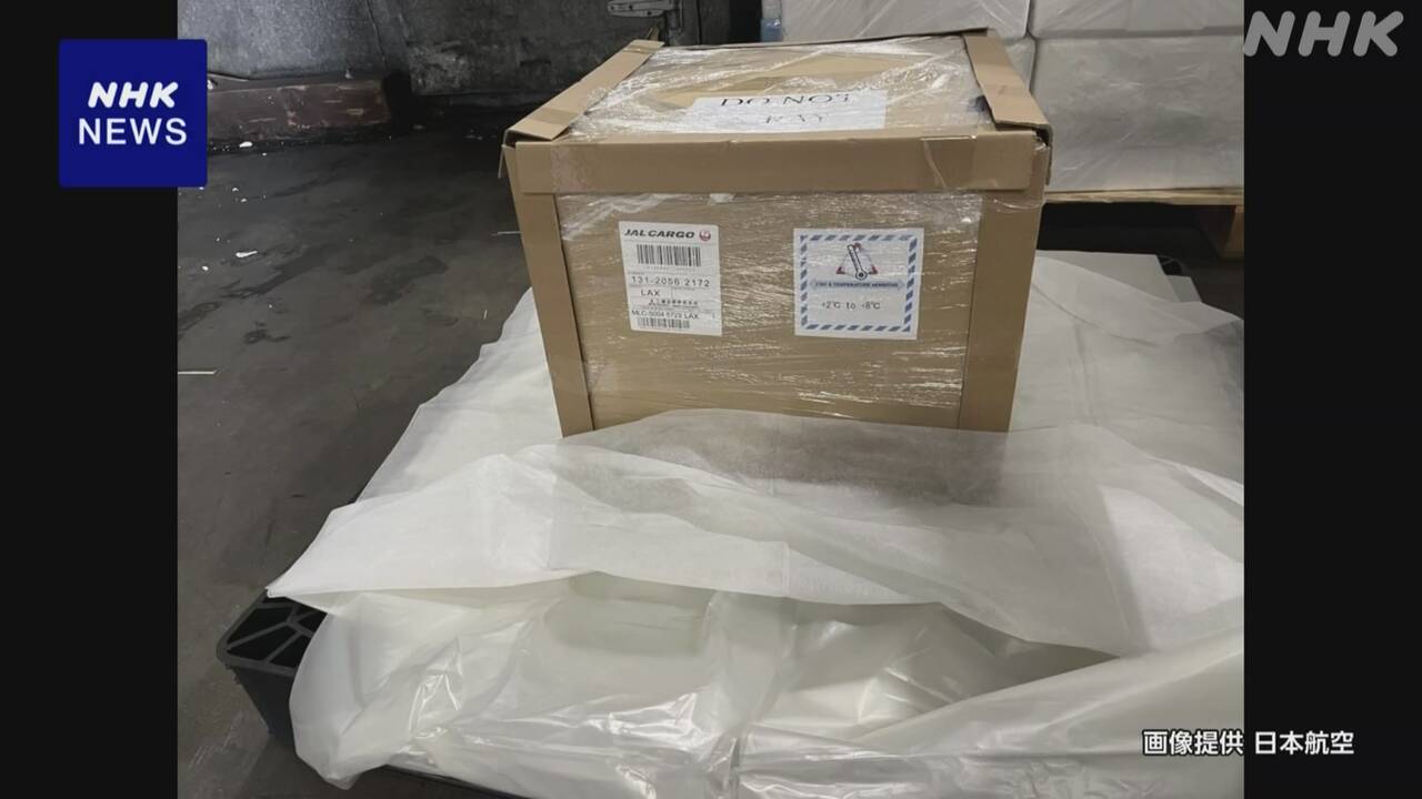 ips細胞でパーキンソン病の治療-米での治験1例目-|-nhk