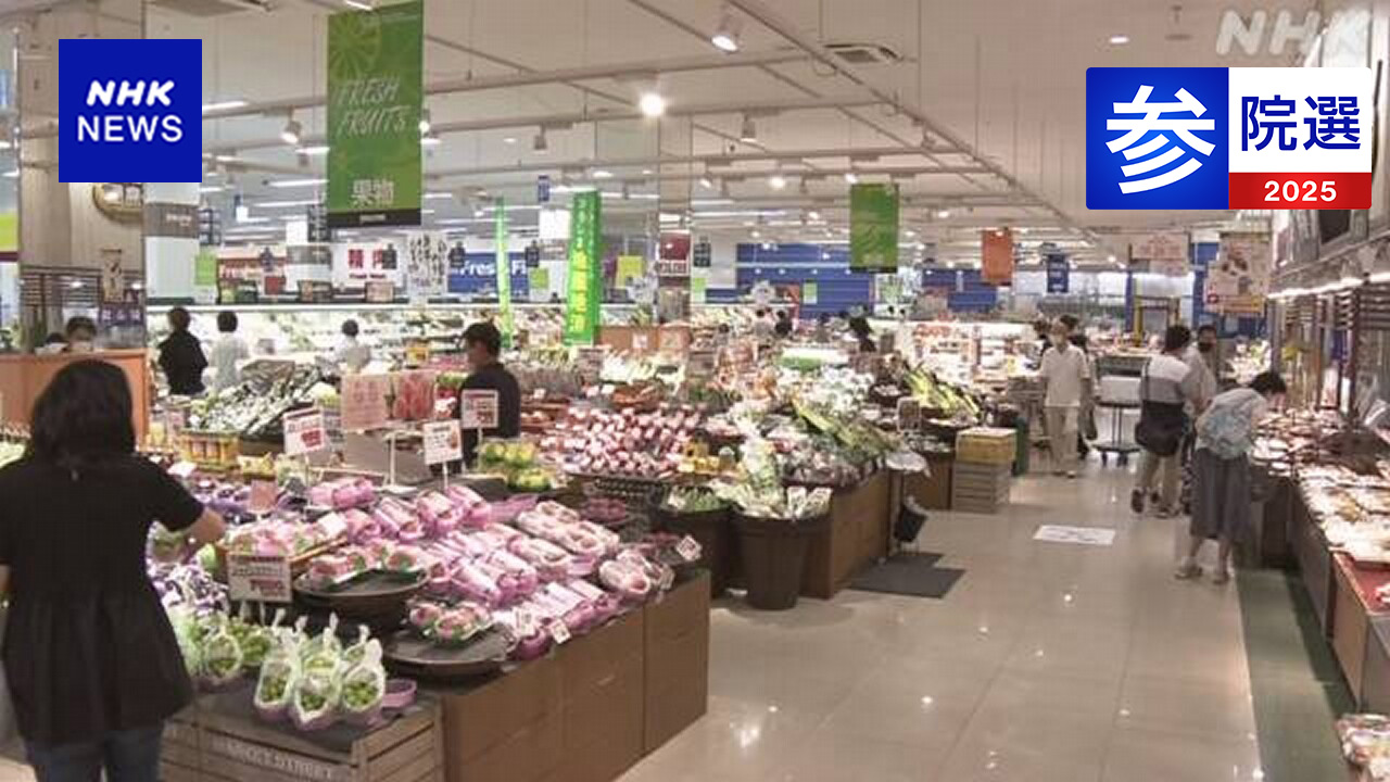 参議院選挙-序盤戦-物価高対策が大きな論点に-投票日は7月20日-|-nhk