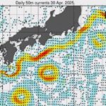 479-|-nhk