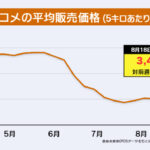 53499-80-|-nhk