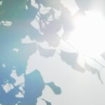 40-|-nhk