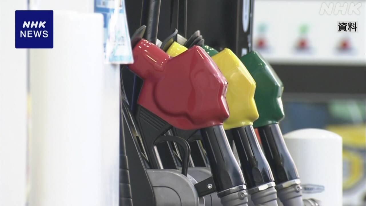 ガソリン税暫定税率廃止法案-専門家-“丁寧な議論と説明必要”-|-nhk