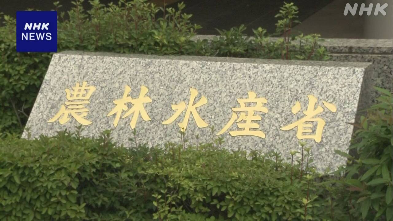 上半期の農林水産物と食品の輸出額-初の8000億円超-過去最高に-|-nhk