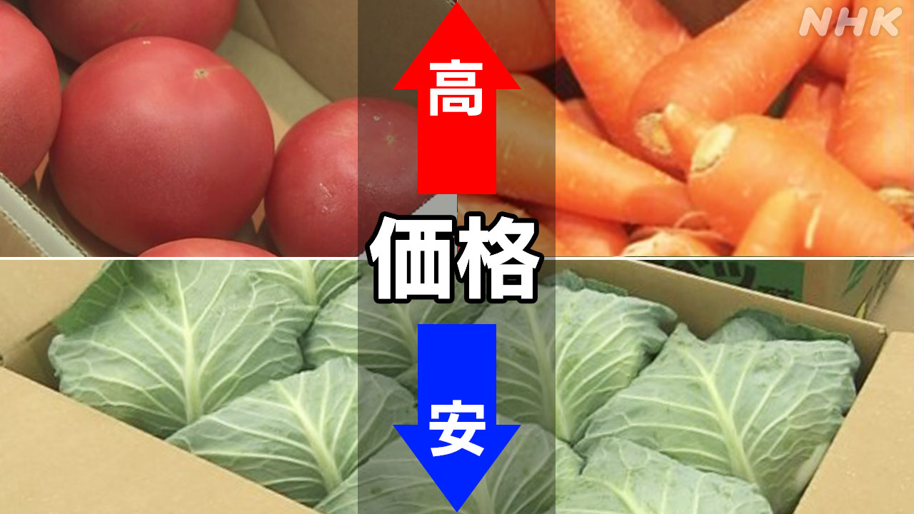 20-|-nhk