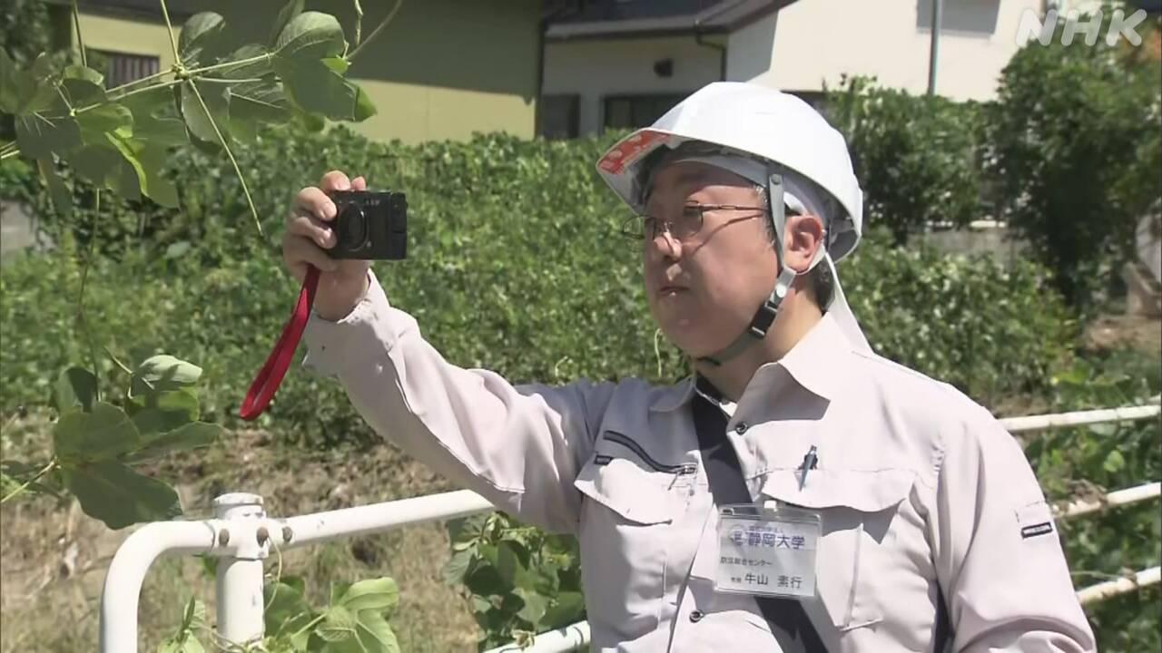 2-|-nhk