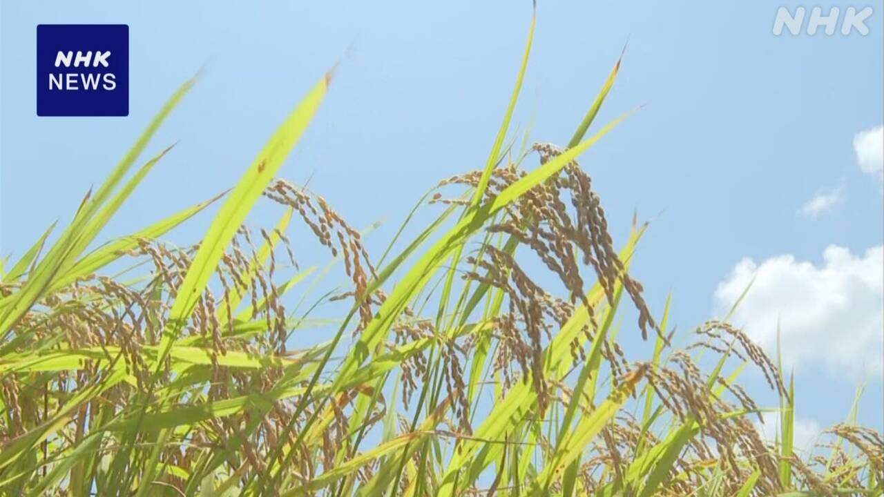 3-|-nhk