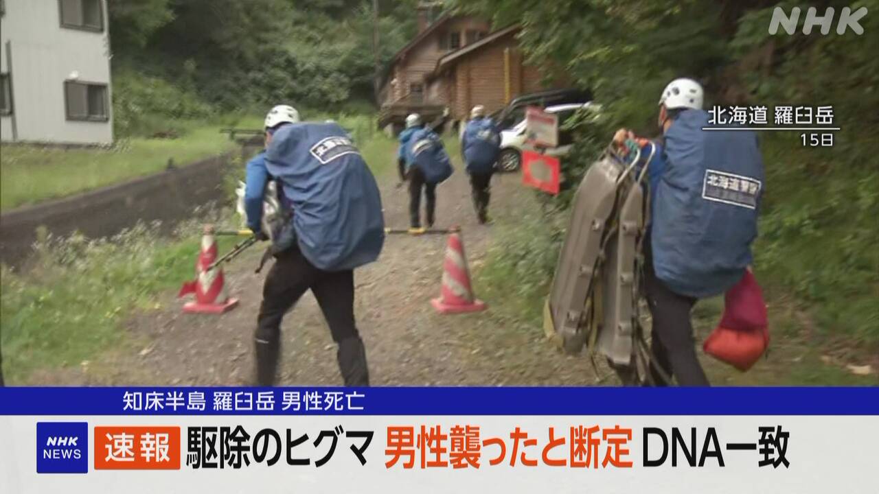 dna-|-nhk