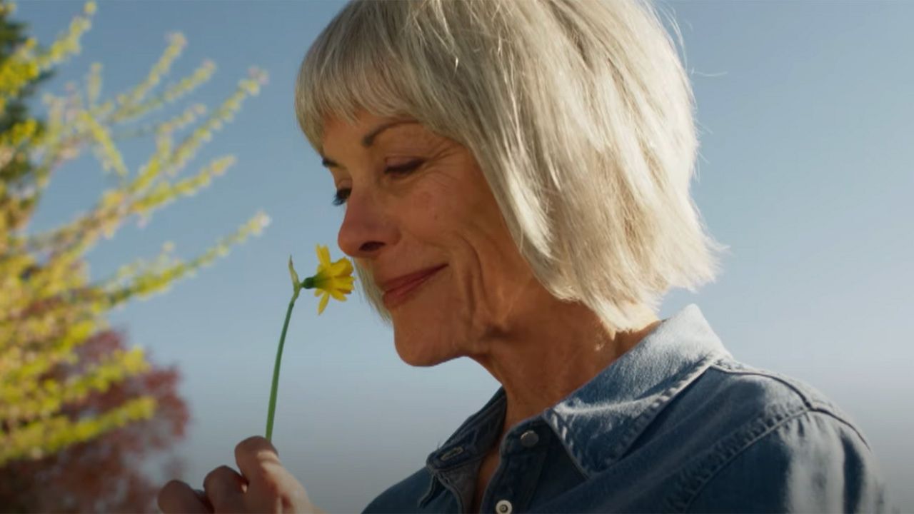 あなたが特徴的なファンであり、あなたが鶏の姉妹を見ていないなら、あなたは本当に逃しています