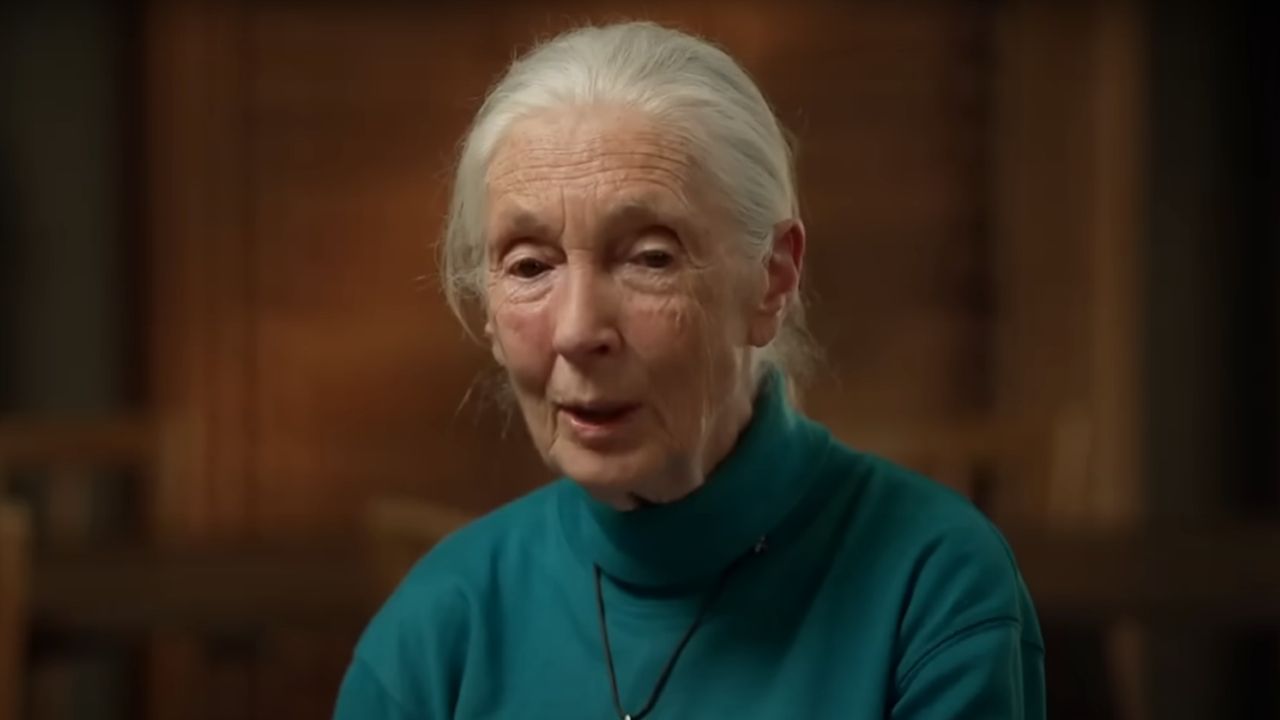「あなたは私のヒーローです：」リース・ウィザースプーン、レオナルド・ディカプリオ、そして彼女の死後のジェーン・グドールへのより多くの敬意