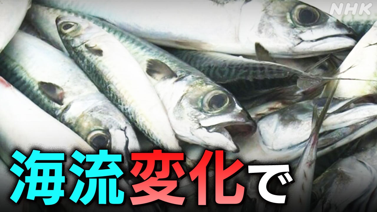 |-nhk
