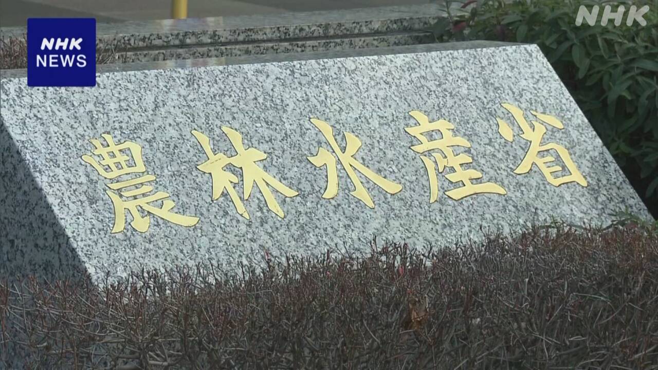 438-203045-|-nhk