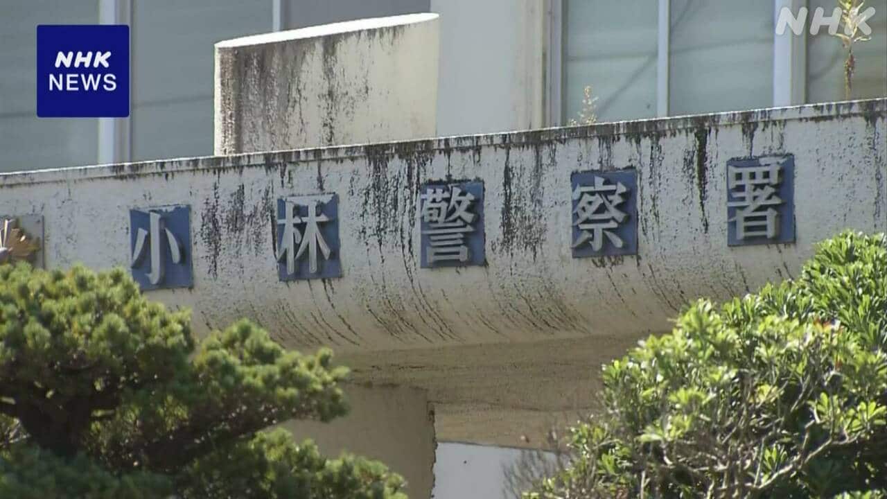 20-|-nhk