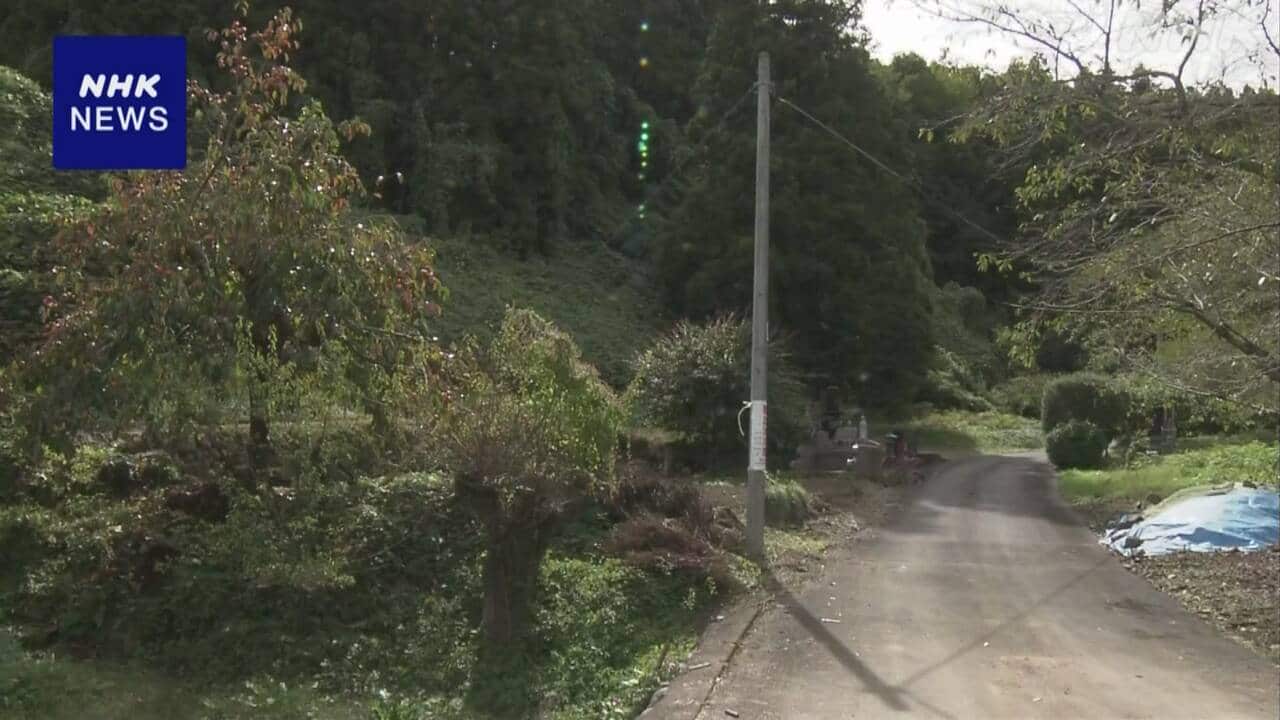 2-|-nhk