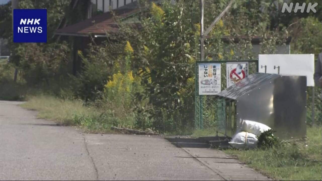 80-|-nhk