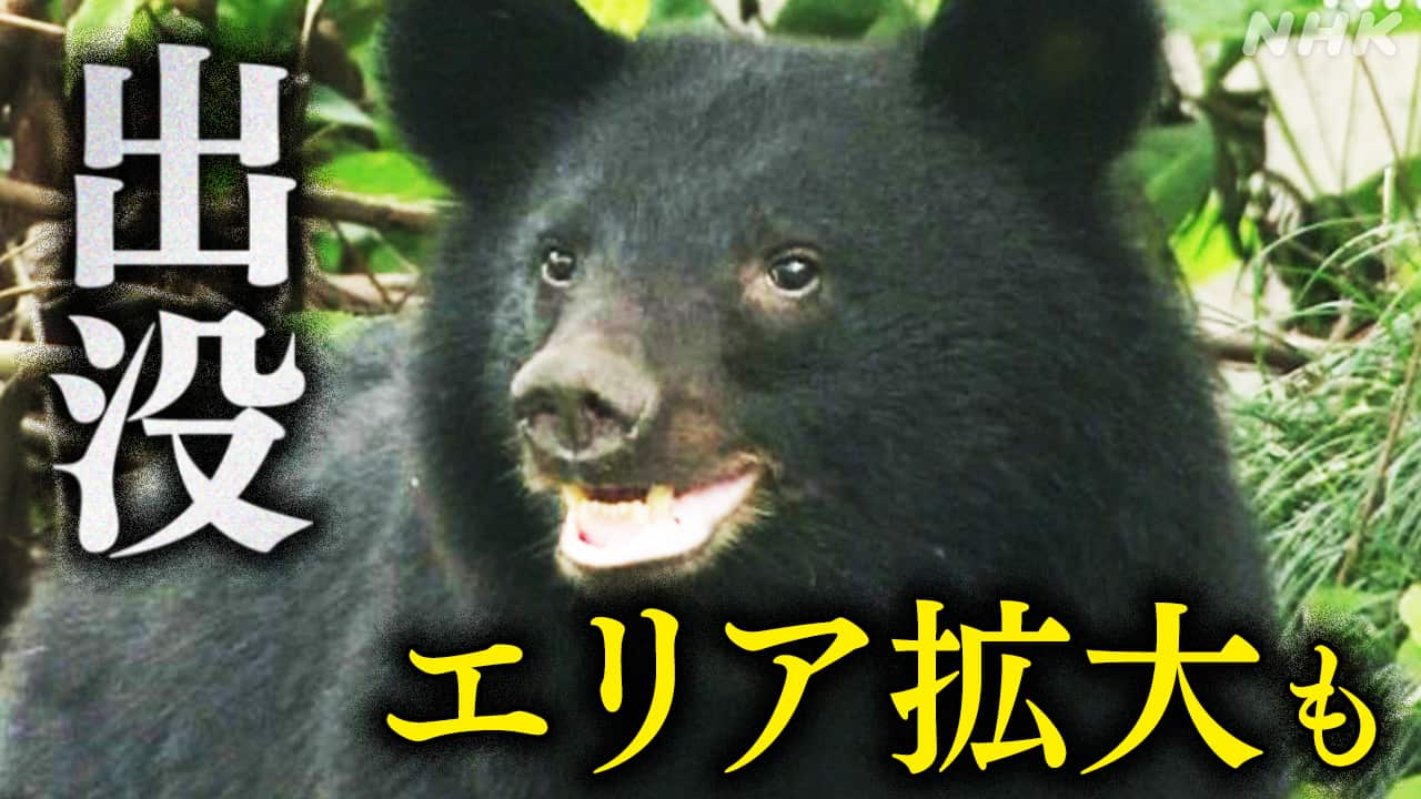 64-2-|-nhk