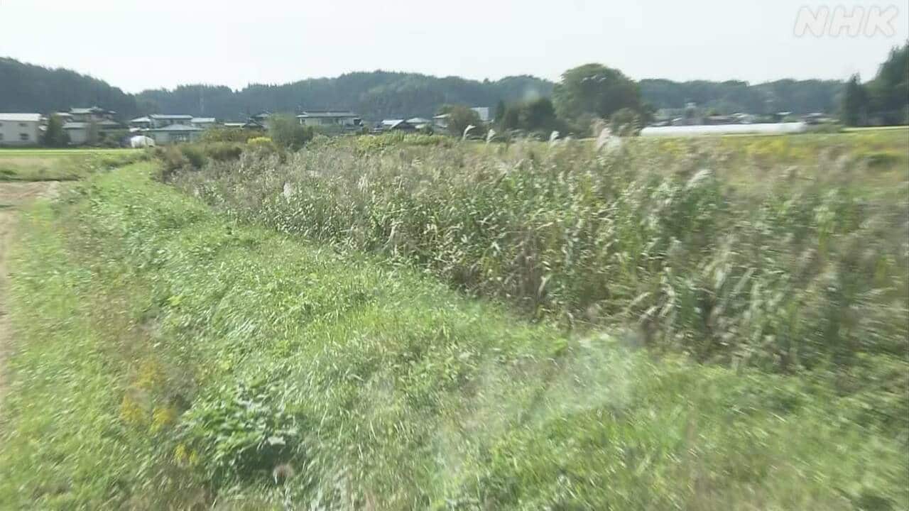2-|-nhk