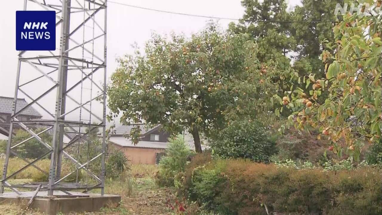 75-|-nhk