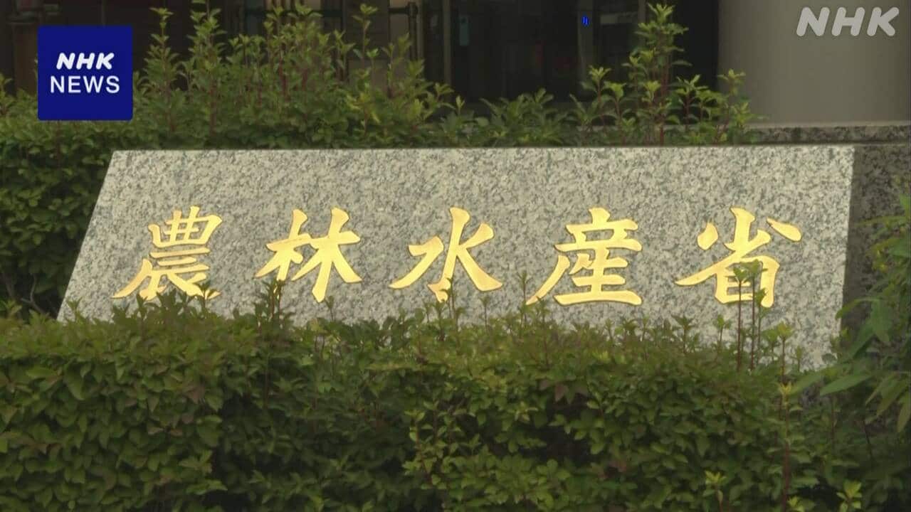 g-|-nhk