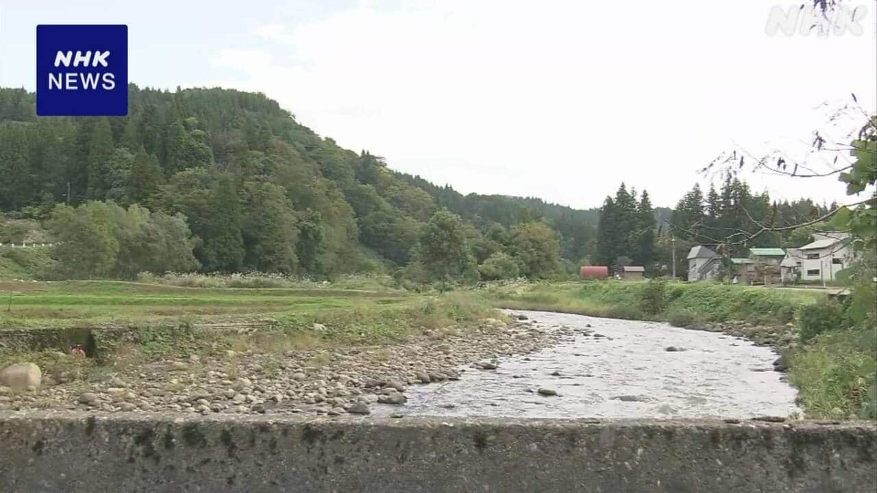 2-|-nhk