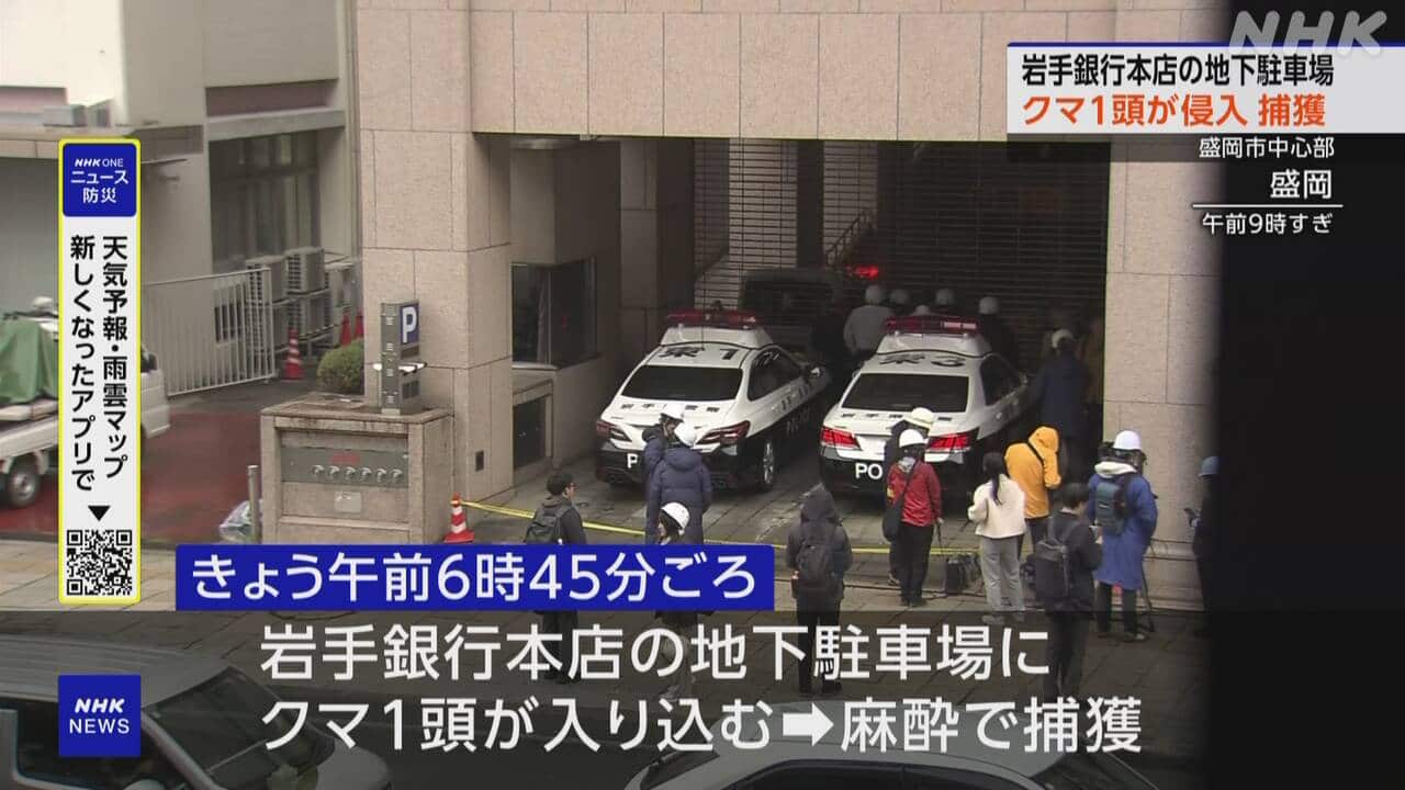 1-|-nhk