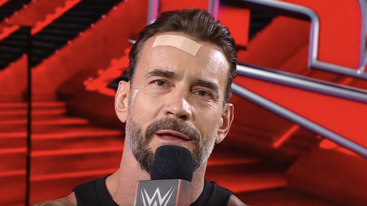 私はラブコメが大好きですが、wwe-スーパースターの-cm-パンクが登場するものは見ませんでした