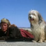 ドン・ジョンソン主演の-1975-年の-sf-カルト-クラシックを初めて観ましたが、マジでどうしたの？