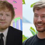 ミスター・ビーストは、女性を見つけてお金を与えた