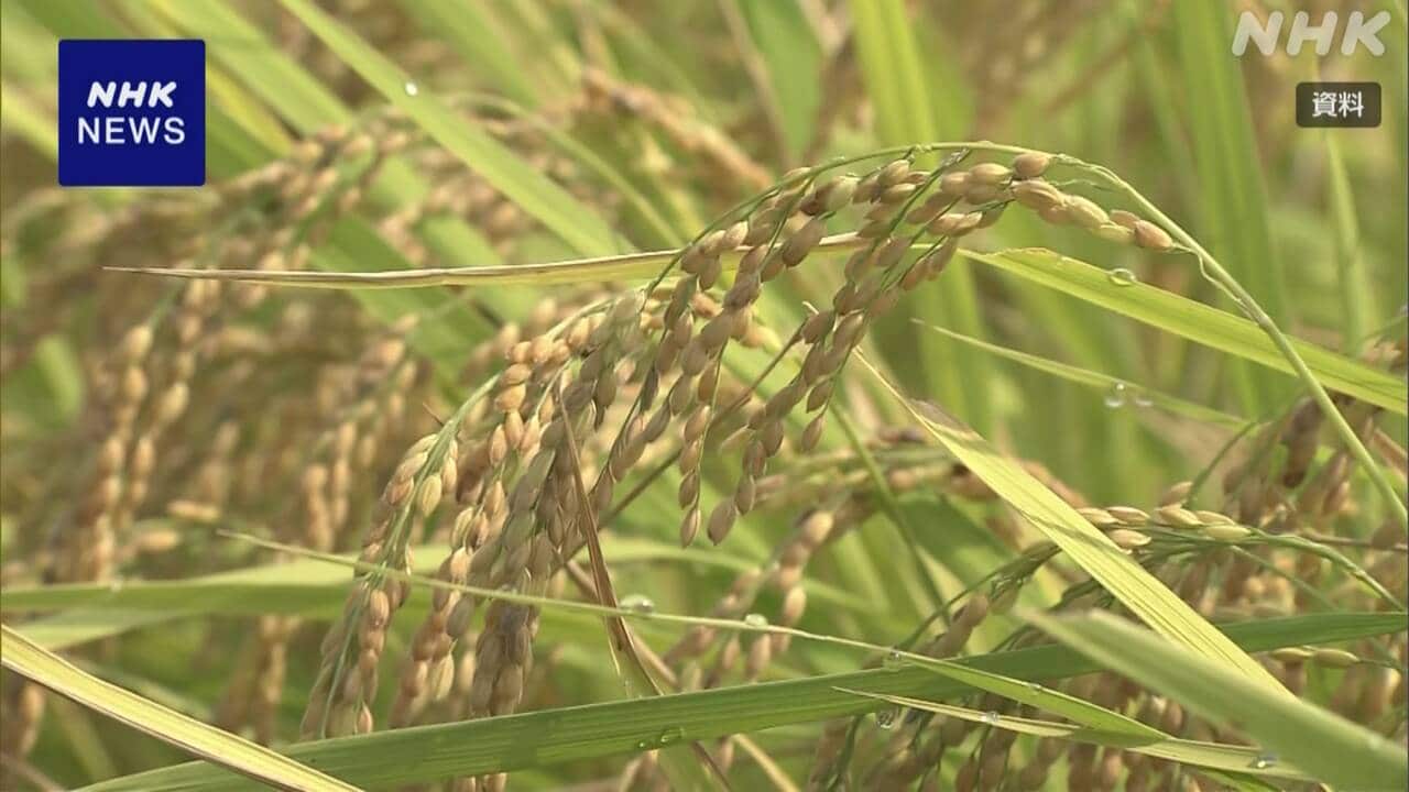 2024107000-2810-|-nhk