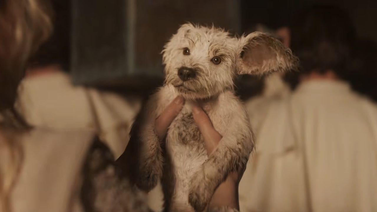 『スーパーガール』にベイビー・クリプトが登場、ファンは大興奮