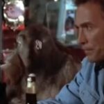 クリント・イーストウッドやっと観た