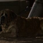 ベテラン-スティーブン-キング-プロデューサーが-4-つの改作の現状について最新情報を提供