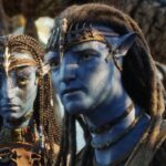 私はしませんでした