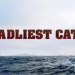 最悪のキャッチの共演者