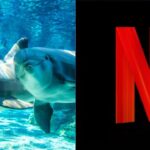 シーワールドに対する新たな訴訟は実際にnetflixにとって大きなチャンスをもたらす可能性がある